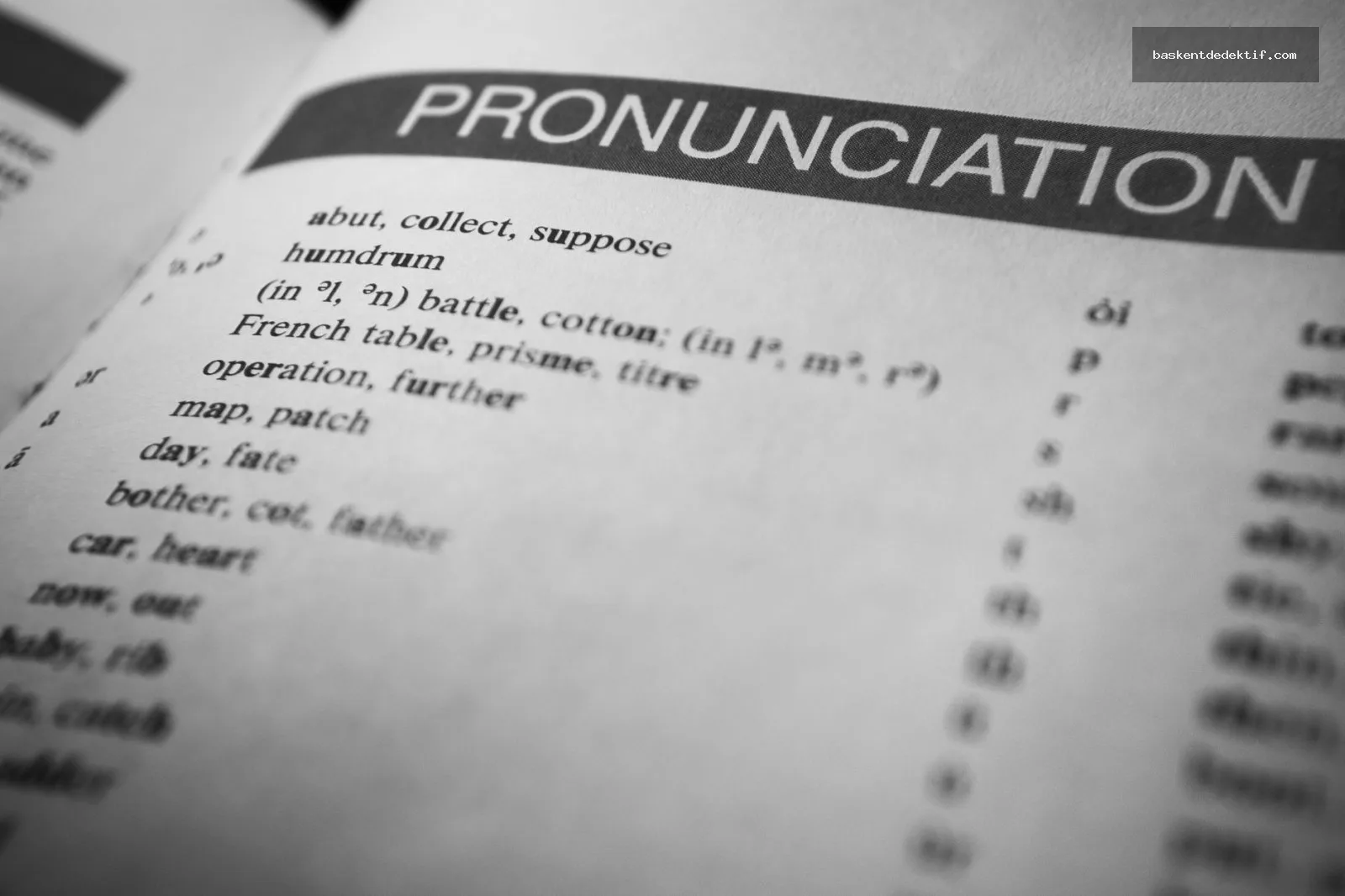 Eş Araştırma için detaylı ve profesyonel sözlük incelemesi
